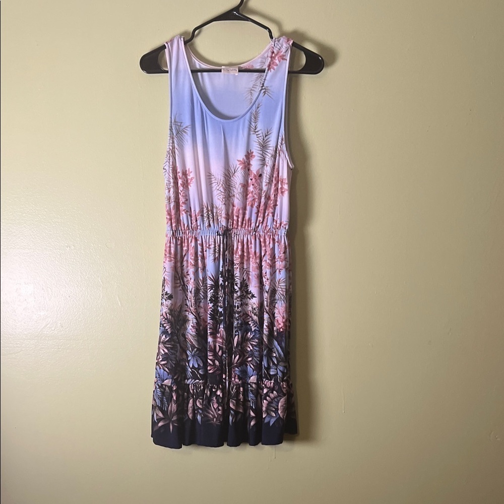 Lovely Melody Floral Mini Dress - Blue and Pink